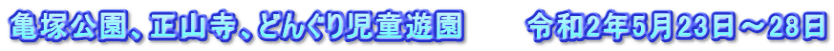 亀塚公園、正山寺、どんぐり児童遊園　　　令和2年5月23日～28日
