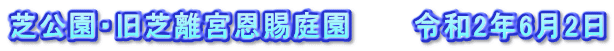 芝公園・旧芝離宮恩賜庭園　　　令和2年6月2日