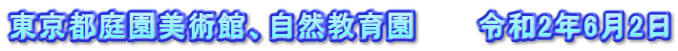 東京都庭園美術館、自然教育園　　　令和2年6月2日