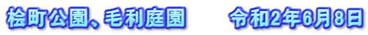 桧町公園、毛利庭園　　　令和2年6月8日