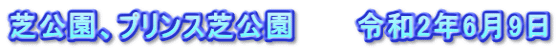 芝公園、プリンス芝公園　　　令和2年6月9日