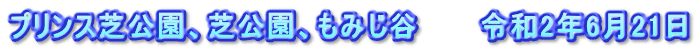 プリンス芝公園、芝公園、もみじ谷　　　令和2年6月21日