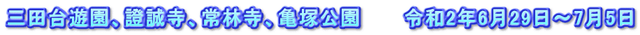 三田台遊園、證誠寺、常林寺、亀塚公園　　　令和2年6月29日～7月5日
