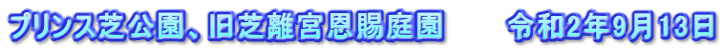プリンス芝公園、旧芝離宮恩賜庭園　　　令和2年9月13日