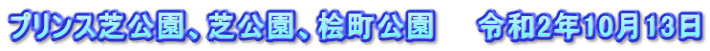 プリンス芝公園、芝公園、桧町公園　　令和2年10月13日