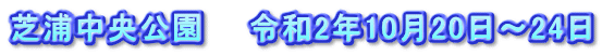 芝浦中央公園　　令和2年10月20日～24日