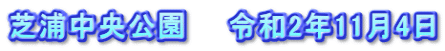 芝浦中央公園　　令和2年11月4日