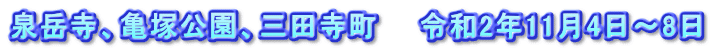 泉岳寺、亀塚公園、三田寺町　　令和2年11月4日～8日