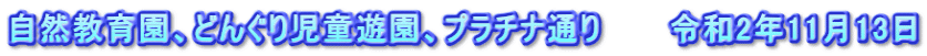 自然教育園、どんぐり児童遊園、プラチナ通り　　　令和2年11月13日