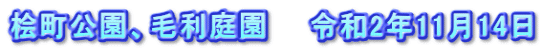 桧町公園、毛利庭園　　令和2年11月14日
