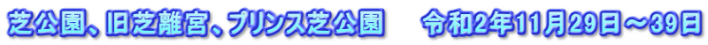 芝公園、旧芝離宮、プリンス芝公園　　令和2年11月29日～39日