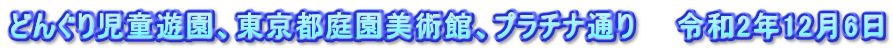 どんぐり児童遊園、東京都庭園美術館、プラチナ通り　　令和2年12月6日