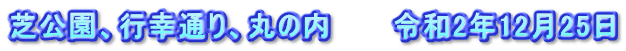 芝公園、行幸通り、丸の内　　　令和2年12月25日