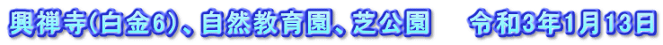 興禅寺(白金6）、自然教育園、芝公園　　令和3年1月13日