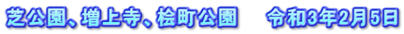 芝公園、増上寺、桧町公園　　令和3年2月5日