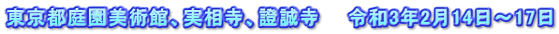 東京都庭園美術館、実相寺、證誠寺　　令和3年2月14日～17日