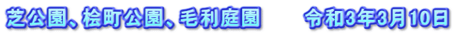 芝公園、桧町公園、毛利庭園　　　令和3年3月10日