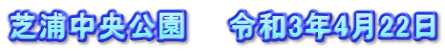 芝浦中央公園　　令和3年4月22日