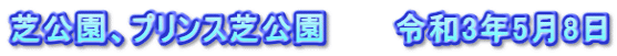 芝公園、プリンス芝公園　　　令和3年5月8日