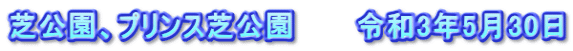芝公園、プリンス芝公園　　　令和3年5月30日
