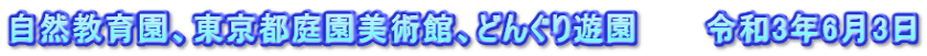 自然教育園、東京都庭園美術館、どんぐり遊園　　　令和3年6月3日