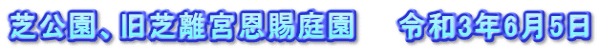 芝公園、旧芝離宮恩賜庭園　　令和3年6月5日