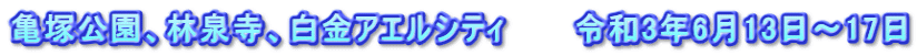 亀塚公園、林泉寺、白金アエルシティ　　　令和3年6月13日～17日