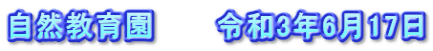 自然教育園　　　令和3年6月17日