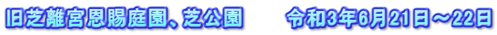 旧芝離宮恩賜庭園、芝公園　　　令和3年6月21日～22日