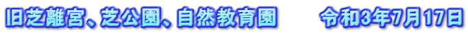 旧芝離宮、芝公園、自然教育園　　　令和3年7月17日