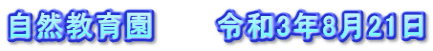 自然教育園 令和3年8月21日