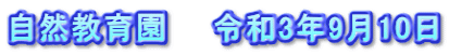 自然教育園　　令和3年9月10日