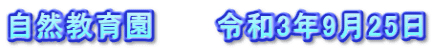 自然教育園　　　令和3年9月25日
