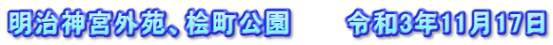 明治神宮外苑、桧町公園　　　令和3年11月17日