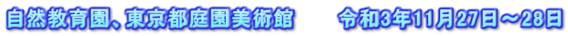 自然教育園、東京都庭園美術館　　　令和3年11月27日～28日