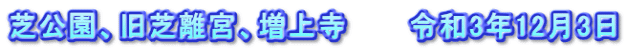 芝公園、旧芝離宮、増上寺　　　令和3年12月3日