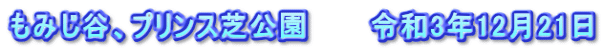 もみじ谷、プリンス芝公園　　　令和3年12月21日