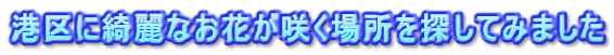 港区に綺麗なお花が咲く場所を探してみました