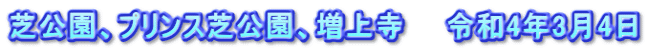 芝公園、プリンス芝公園、増上寺　　令和4年3月4日