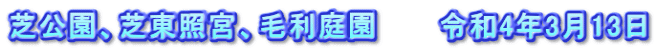 芝公園、芝東照宮、毛利庭園　　　令和4年3月13日