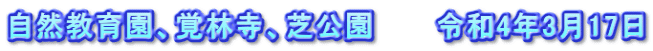 自然教育園、覚林寺、芝公園　　　令和4年3月17日