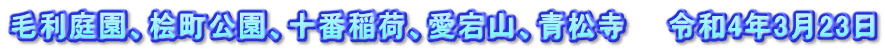 毛利庭園、桧町公園、十番稲荷、愛宕山、青松寺　　令和4年3月23日