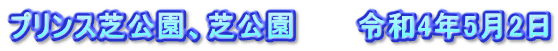 プリンス芝公園、芝公園　　　令和4年5月2日