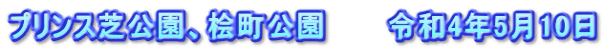 プリンス芝公園、桧町公園　　　令和4年5月10日