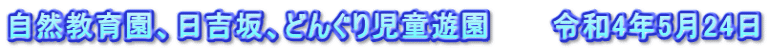自然教育園、日吉坂、どんぐり児童遊園　　　令和4年5月24日