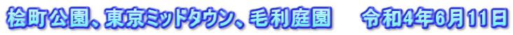 桧町公園、東京ミッドタウン、毛利庭園　　令和4年6月11日