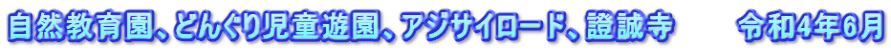 自然教育園、どんぐり児童遊園、アジサイロード、證誠寺　　　令和4年6月