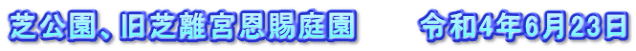 芝公園、旧芝離宮恩賜庭園　　　令和4年6月23日