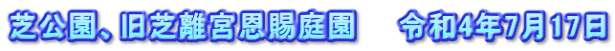 芝公園、旧芝離宮恩賜庭園　　令和4年7月17日