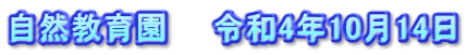 自然教育園　　令和4年10月14日